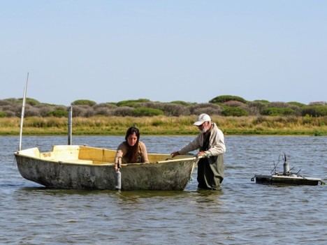 Doñana alcanza un récord de aves acuáticas invernantes más bajo en su historia